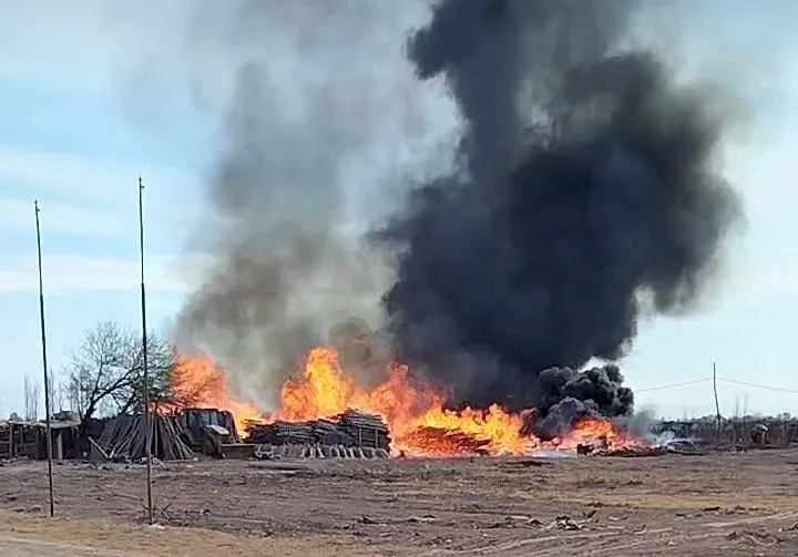 WhatsApp Image 2025-08-13 at 14.58.09